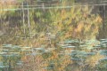 francoise_c brenne sept 2017 9